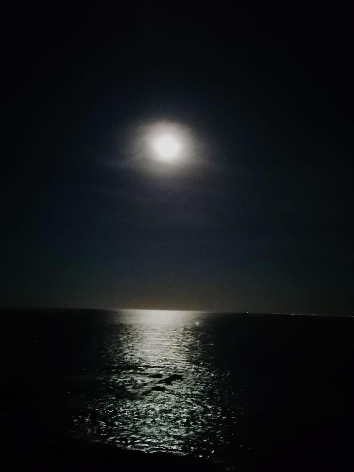 קמפואמור Apartamento Vista Al Mar מראה חיצוני תמונה